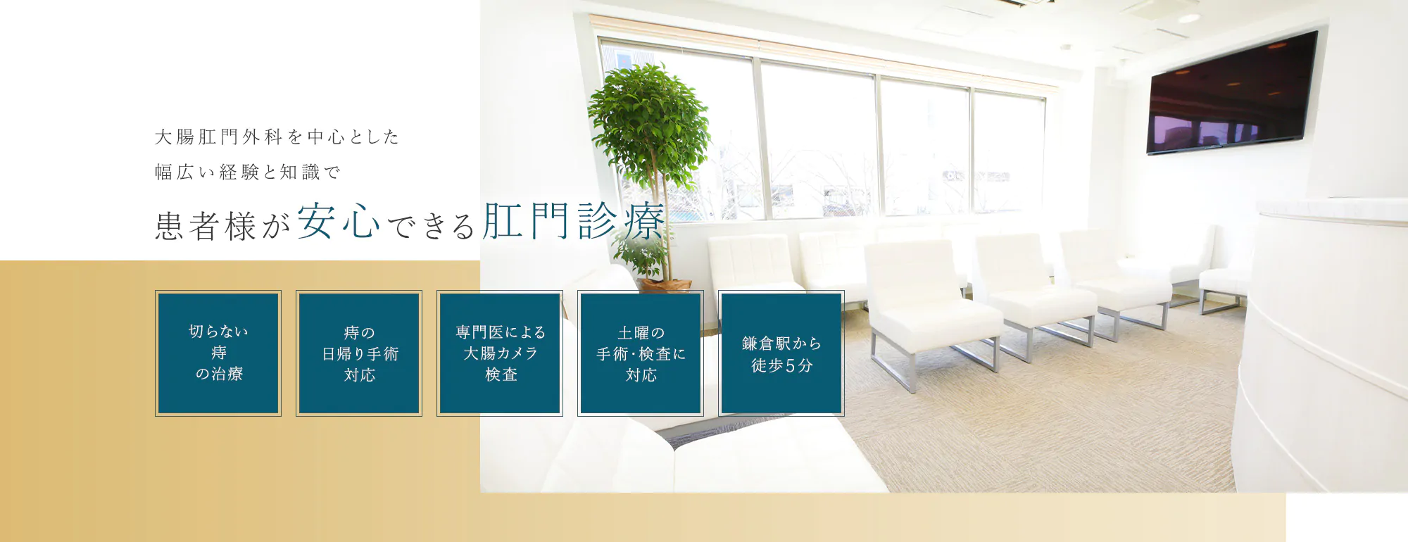 大腸肛門外科を中心とした幅広い経験と知識で患者様が安心できる肛門診療