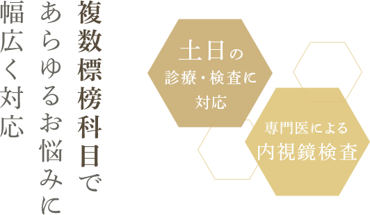 複数標榜科目であらゆるお悩みに幅広く対応 土曜の診療・検査に対応 専門医による内視鏡検査