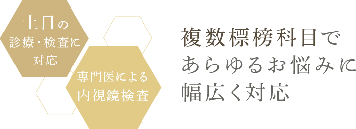 複数標榜科目であらゆるお悩みに幅広く対応 土曜の診療・検査に対応 専門医による内視鏡検査